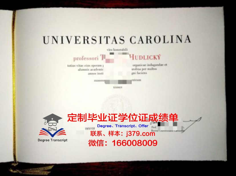 纽约大学布拉格分校学生证(美国纽约大学布拉格分校)