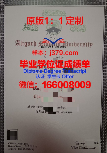 穆罕默德·阿里·金纳大学毕业证