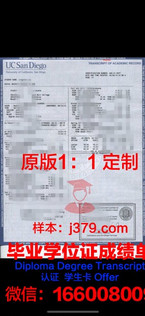 泰国法大成绩单：展现国际化教育成果