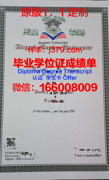 穆罕默德·阿里·金纳大学毕业证