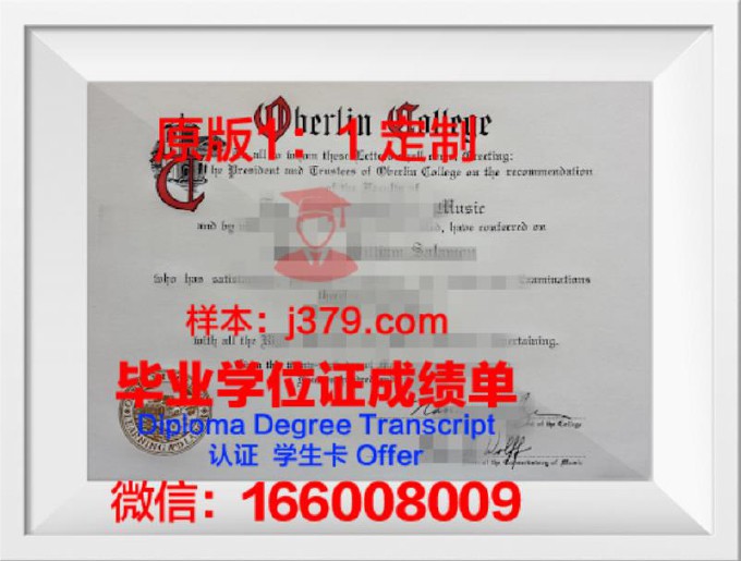 柏林自由大学毕业证照片