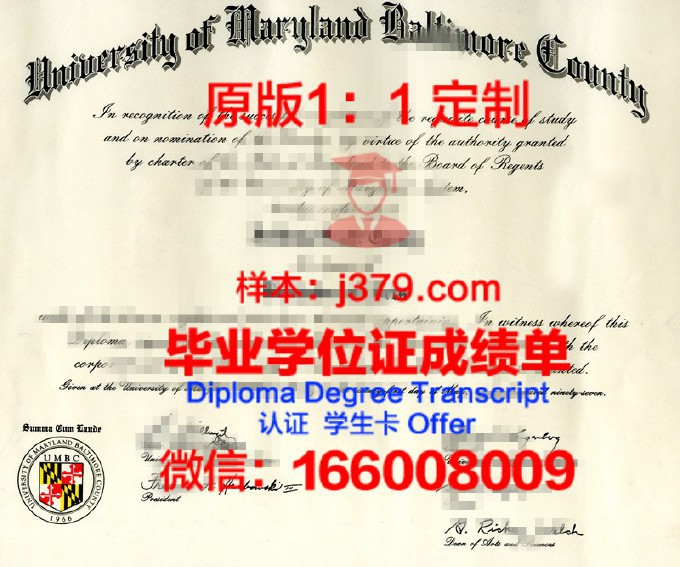 巴尔的摩大学毕业证案例(巴尔的摩有什么著名大学)