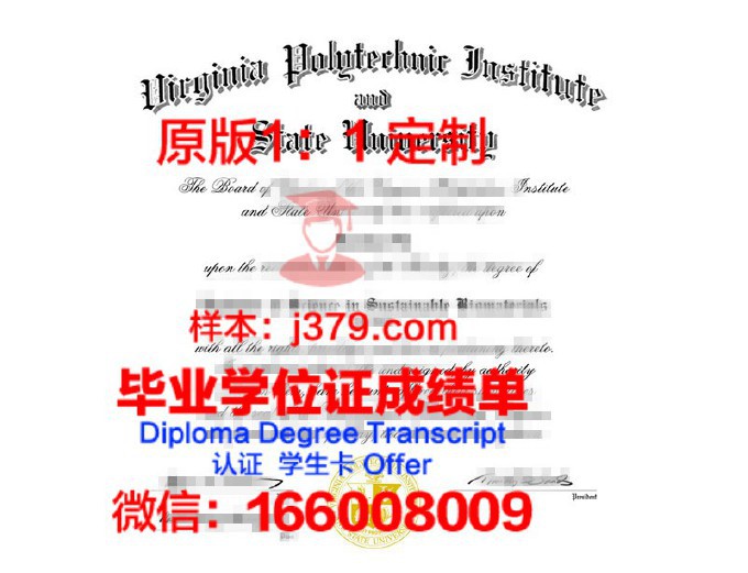 凯泽斯劳滕应用技术大学硕士毕业证书样本(凯泽斯劳滕理工大学)