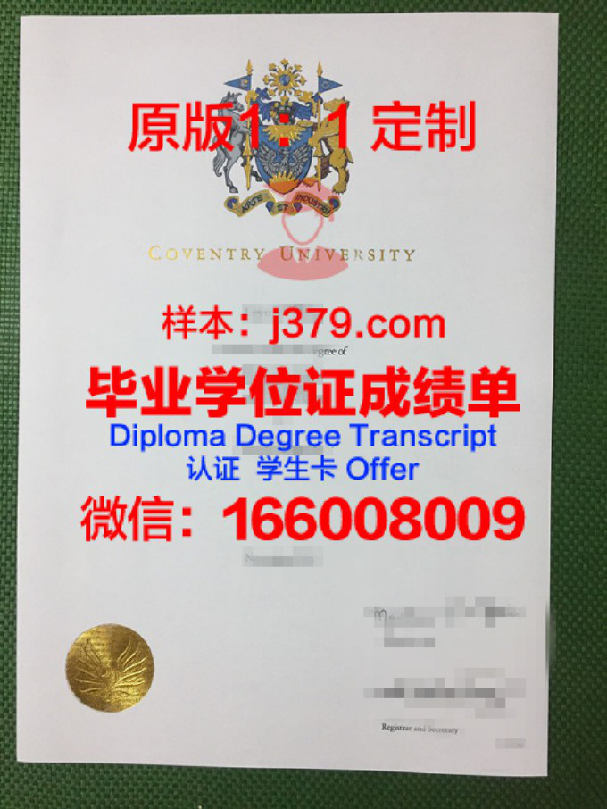 马赛大学证书成绩单(马赛大学)