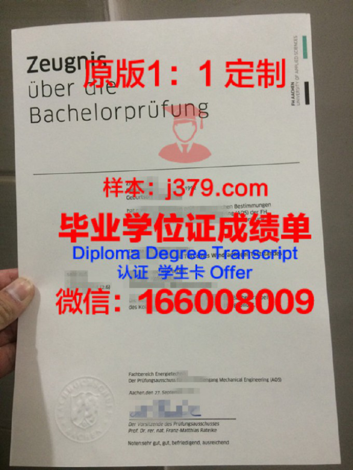 仰光口腔医学大学成绩单：一份展示学术实力与国际化视野的荣誉证书