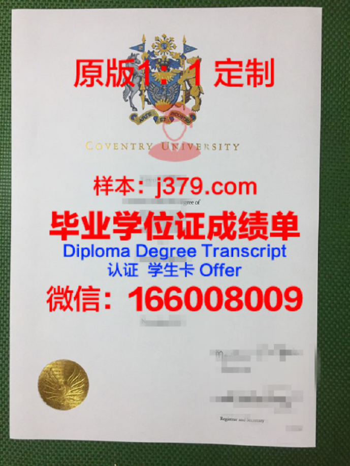 北佛蒙特大学录取通知书OFFER定制，开启留学新篇章