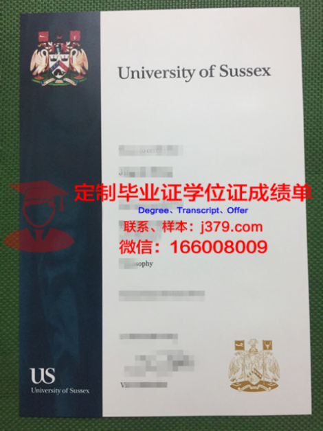 LADU学位成绩单定制：打造个性化教育新篇章