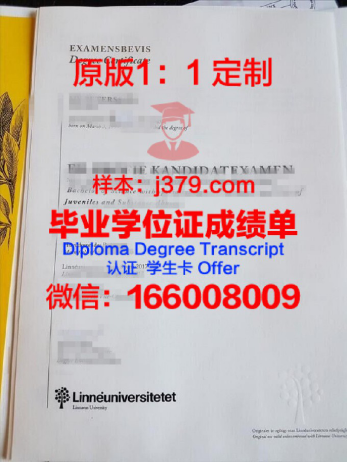 瑞典皇家理工学院学位文凭定制，打造个性化学术名片