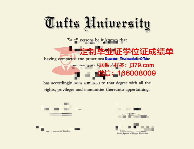塔夫斯成绩单：如何准确评估学术表现