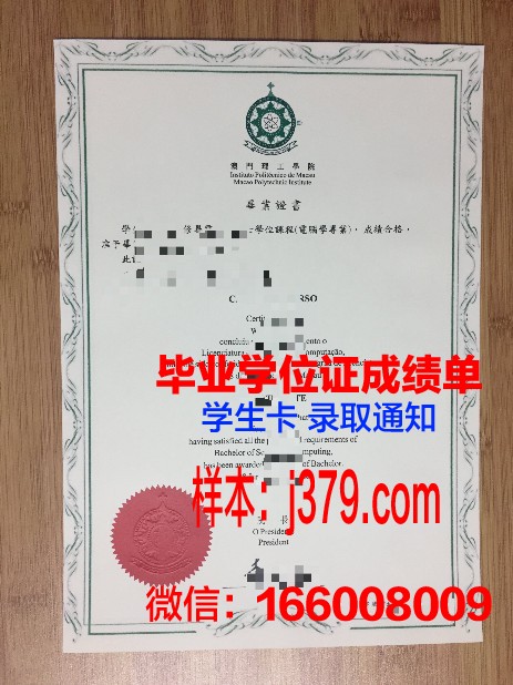 SPTU硕士毕业证:专业方向与未来发展前景