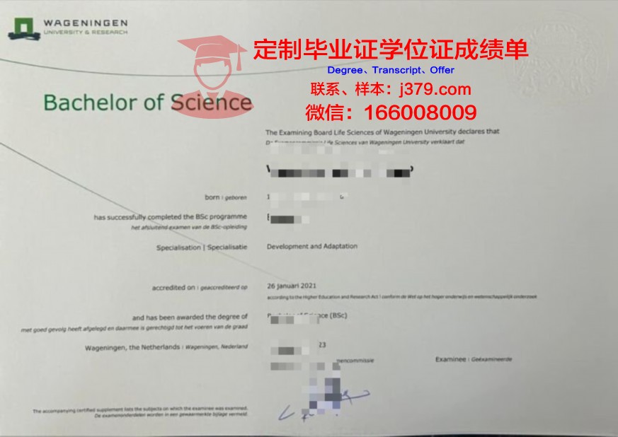 哈勒大学本科证书课程设置介绍