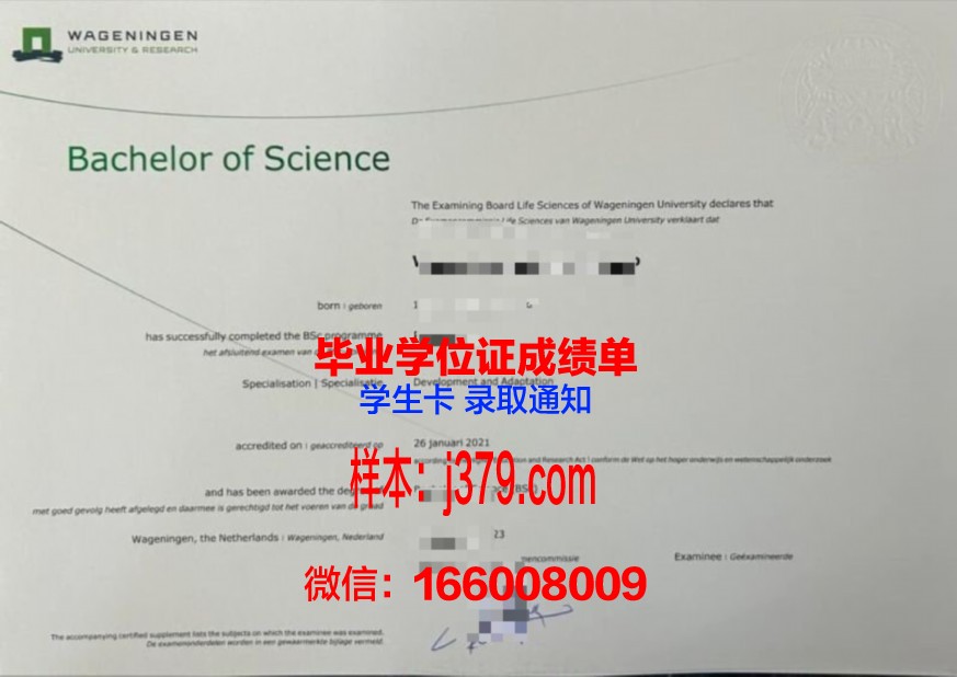 本科阶段区域人力资源管理资格证书