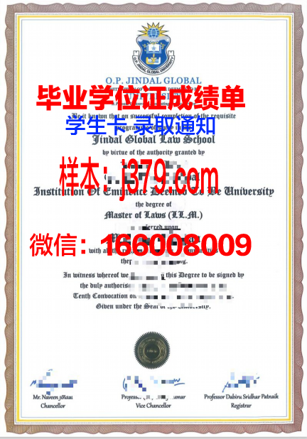 萨达尔帕特尔大学博士学业成就证书