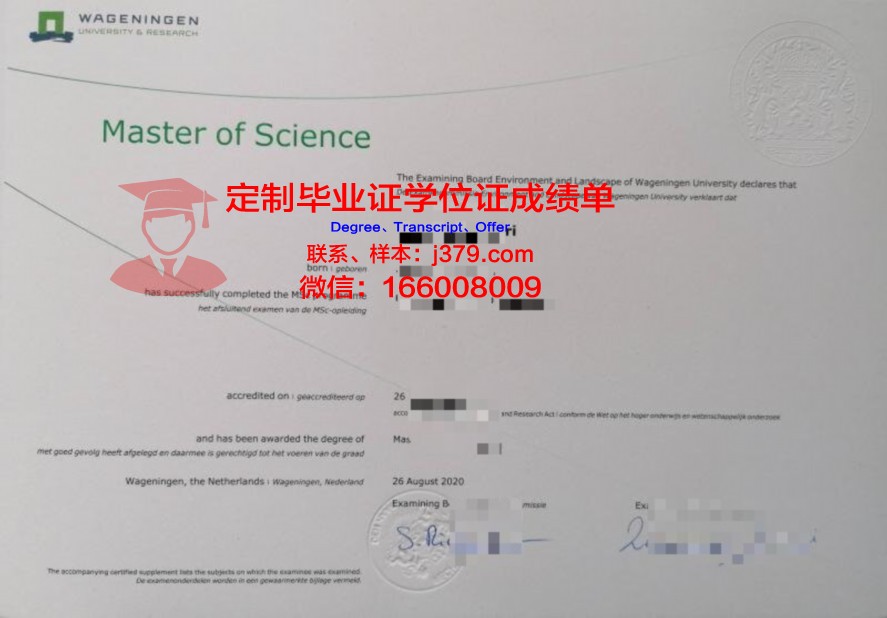 哈那大学硕士证书:就业前景与市场需求