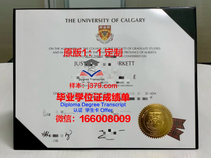 卡尔加里大学本科阶段资格证书