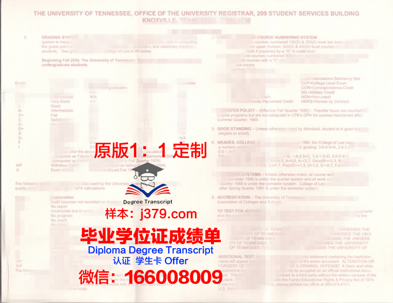 田纳西大学查塔努加分校 diploma证书