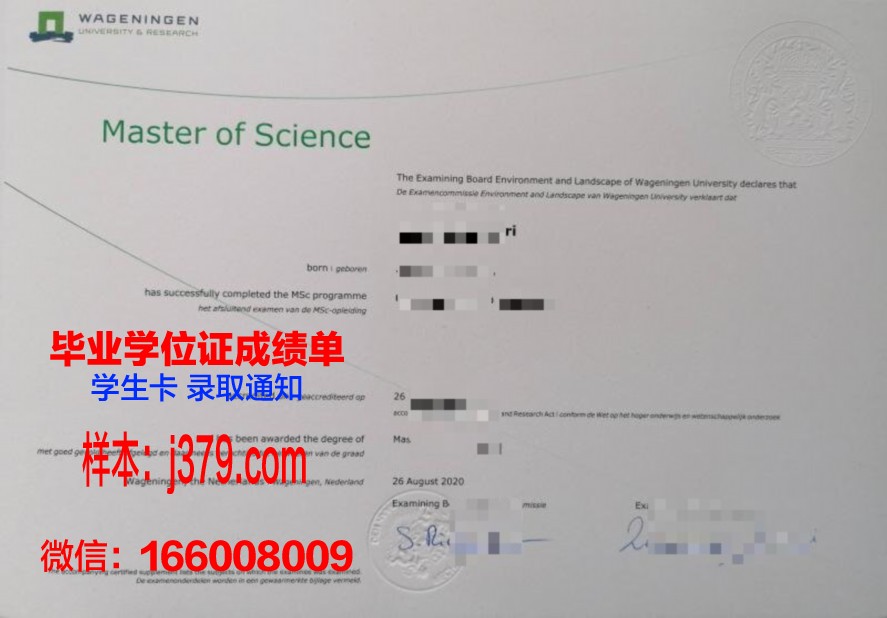 俄亥州大硕士证书:校友网络与职业发展