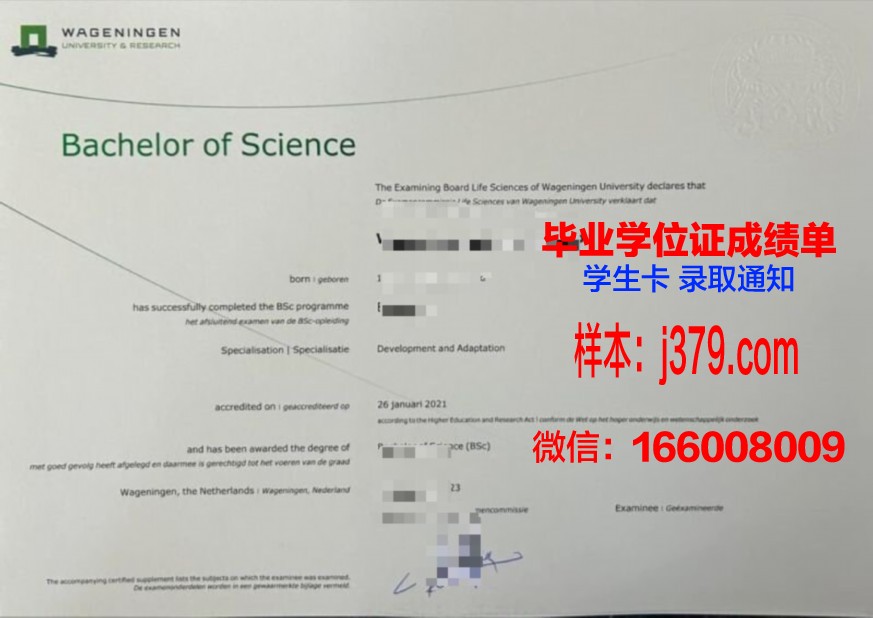 光科院本科证书所涵盖的专业领域