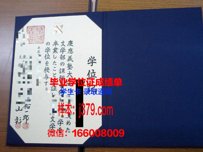 UMBC校园博土学位资格证书