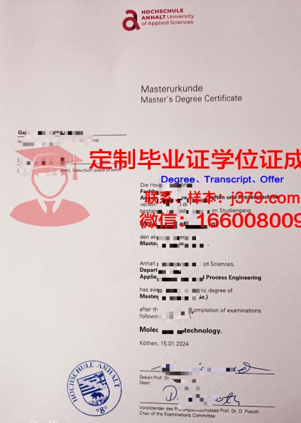 特里尔应用技术大学硕士研究生资格证书