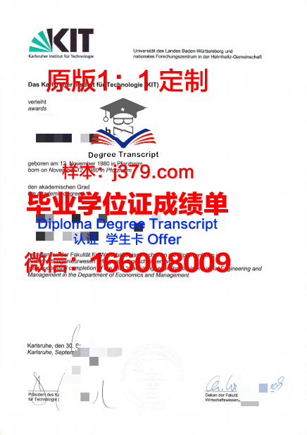 卡尔斯鲁厄理工学院本科阶段毕业证书