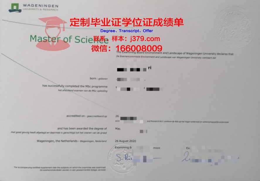 拉伯硕士证书:国际认可的学术资格