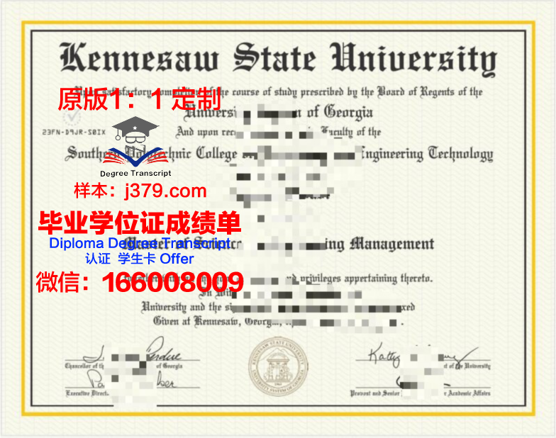 肯尼索州立大学本科学位文凭