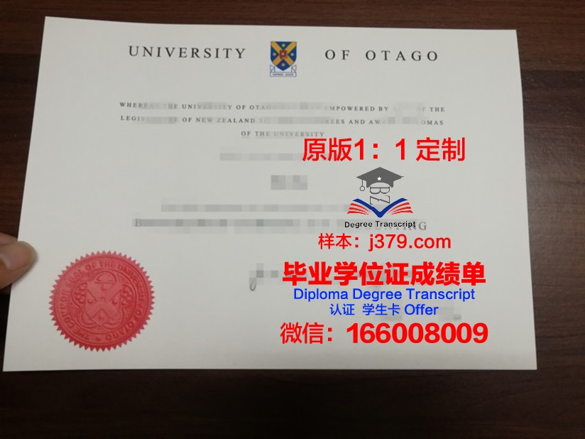 新西兰中部国立理工学院博士学历证明