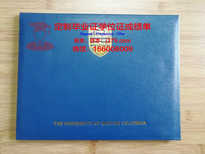 东京理大毕业证壳子:背后的故事