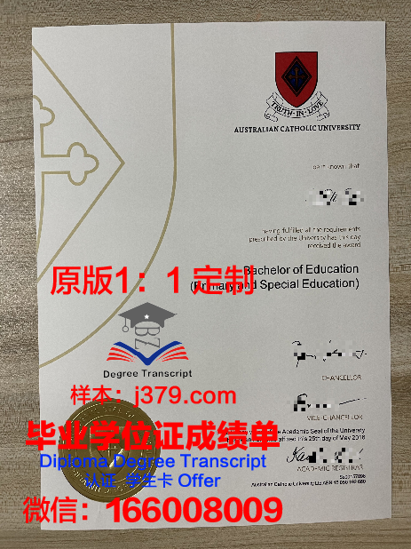 大学天主教硕士证书课程设置解析