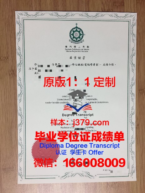 波尔多理工学院研究生毕业文凭