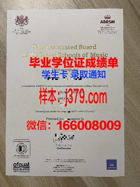 大阪市大毕业证书收藏与鉴赏指南