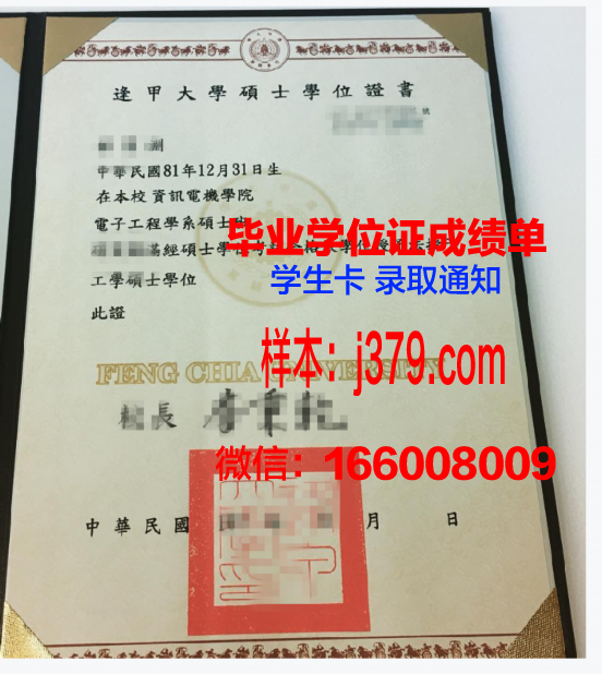 审查高等教育学位证明