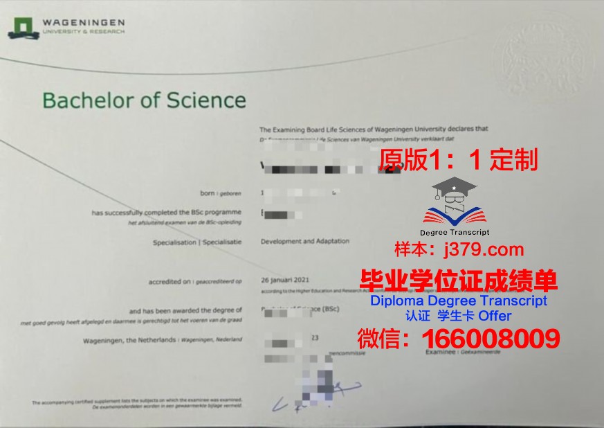 新校本科证书制度解析与影响