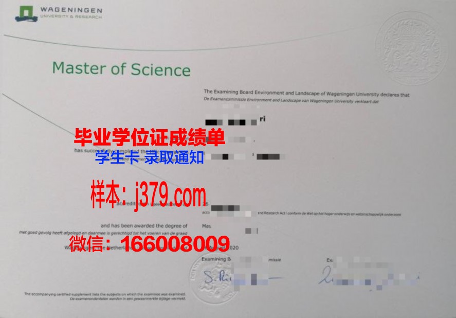 如何高效获取约科大硕士毕业证?