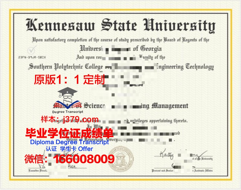 肯尼索州立大学本科学位文凭
