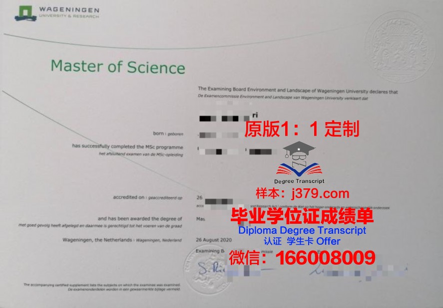 巴拉那大学学历证明文件