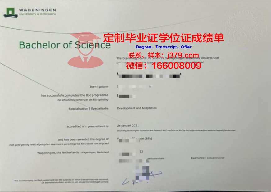布尔大本科证书课程设置与特色