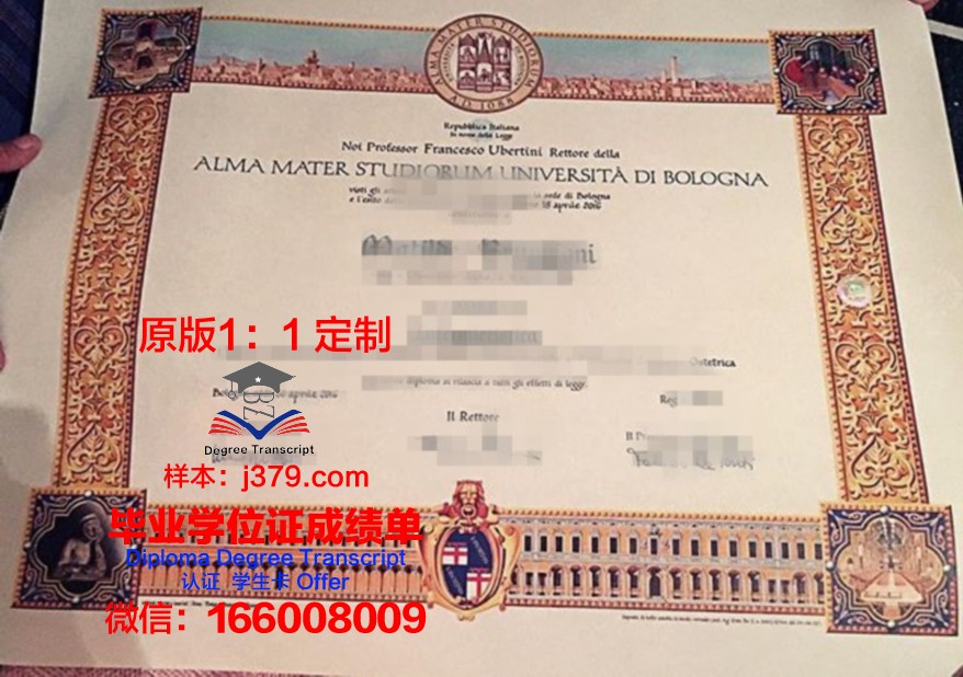尼亚大本科证书颁发院校一览