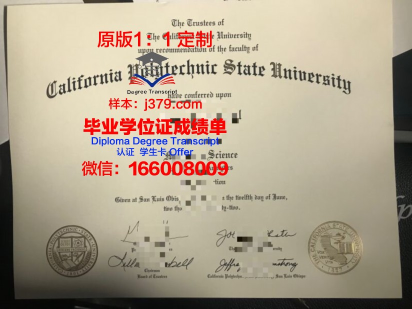 奥尔良综合理工博士资格证书