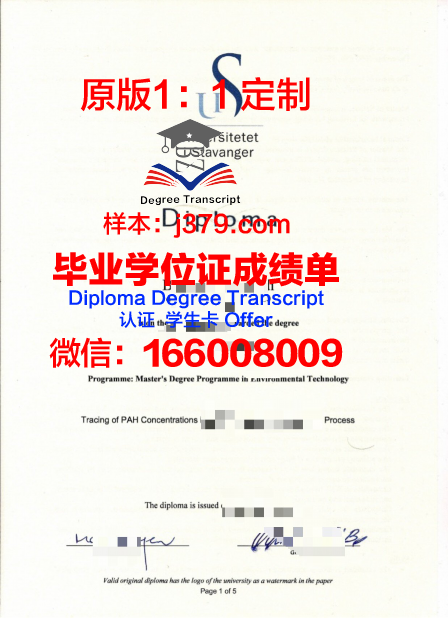 西挪威应用科学大学文凭获取