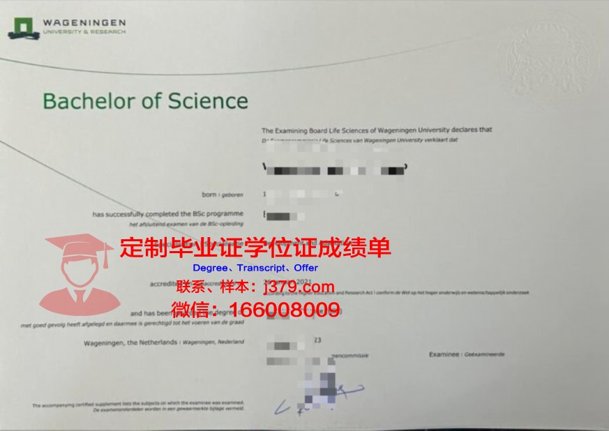 CU本科证书:专业选择与未来发展方向