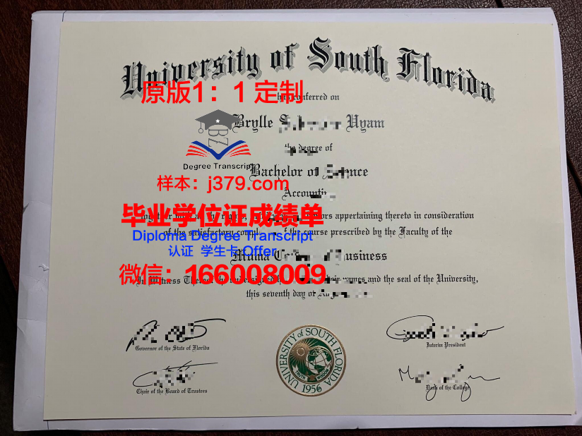 南佛罗里达大学学位证书重新办理