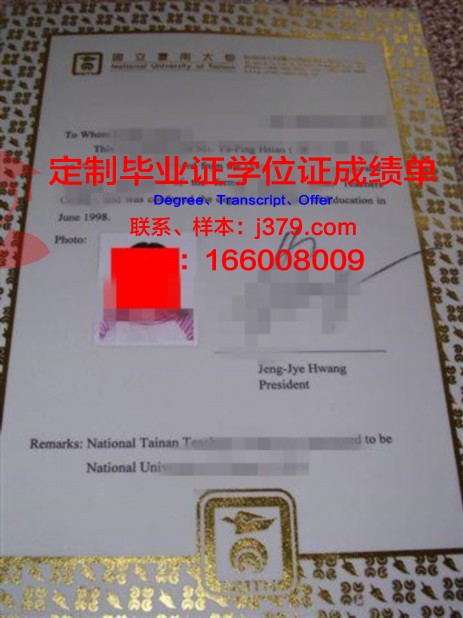 INN大学本科证书国际认可度探讨