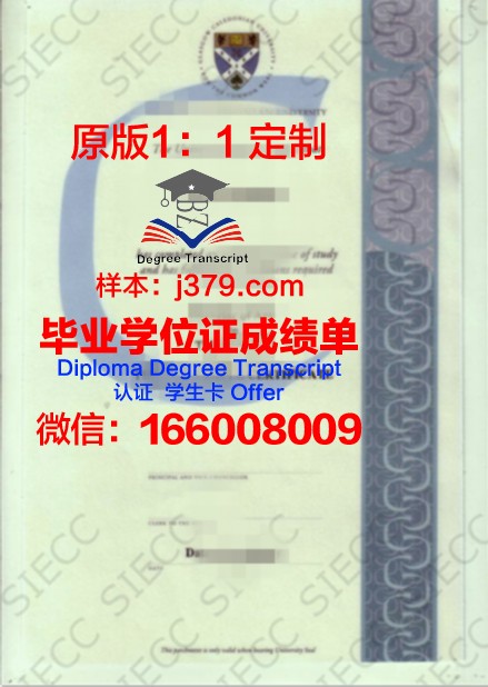 皇后大学本科证书就业前景分析