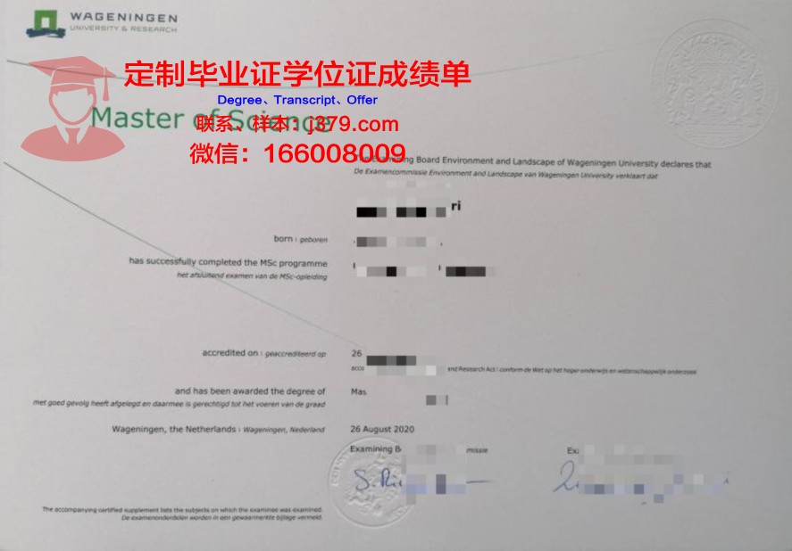 南星硕士证书:入学考试难度与备考策略