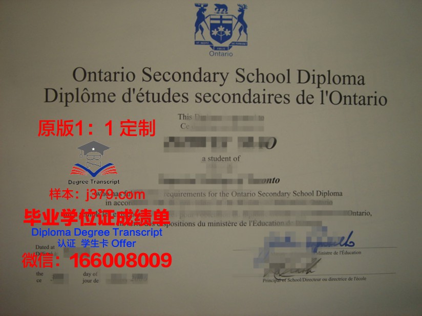 安省理工学府成绩单查询