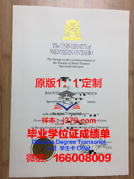 大略毕业证电子版申请指南