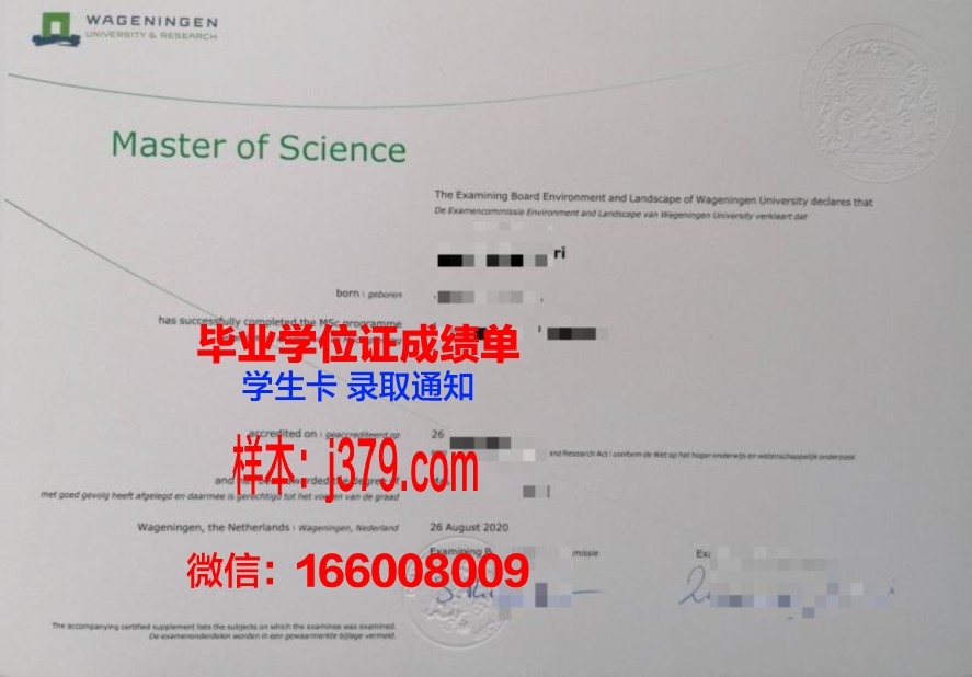 LonCtyU硕士证书:专业选择与课程设置解读
