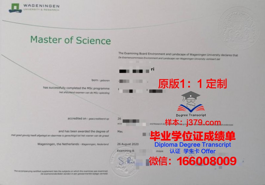 北医毕业证学历在国内外认可度分析